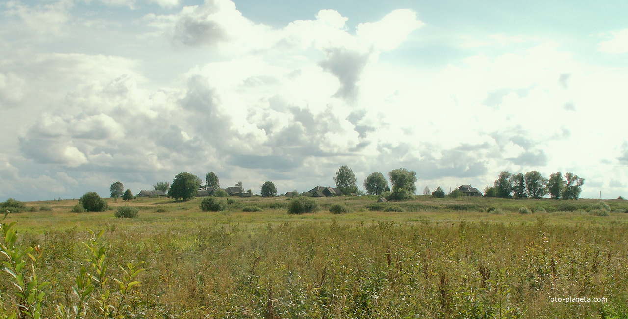 д. Симонов Городок 2005 г.