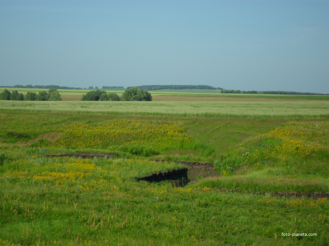 дорого в баешево