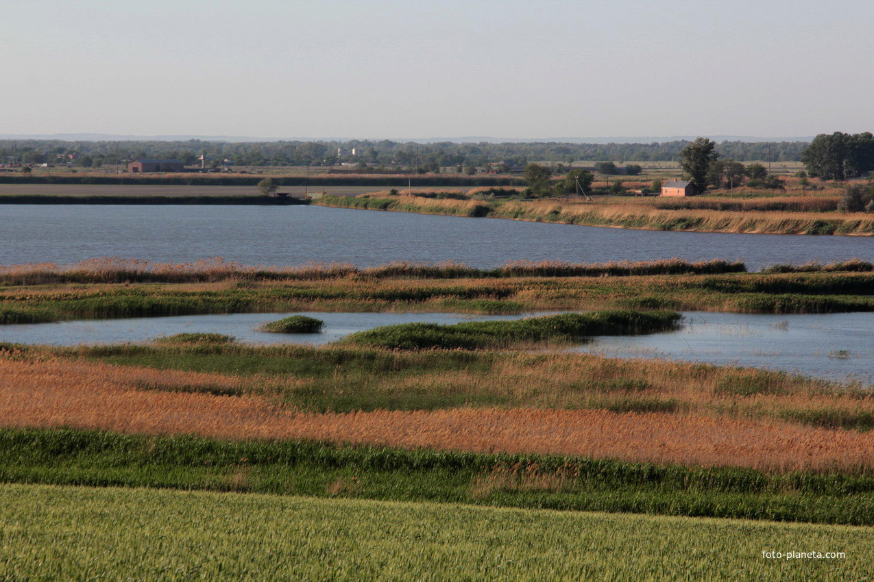 пруды николаевского рыбхоза