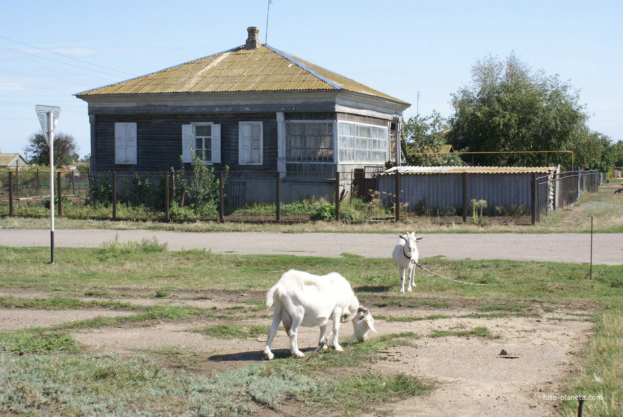 Погода в красноярской цимлянский. Цимлянский район станица Терновская. Станица Терновская Ростовская область. Терновская Ростовская область Цимлянский район.