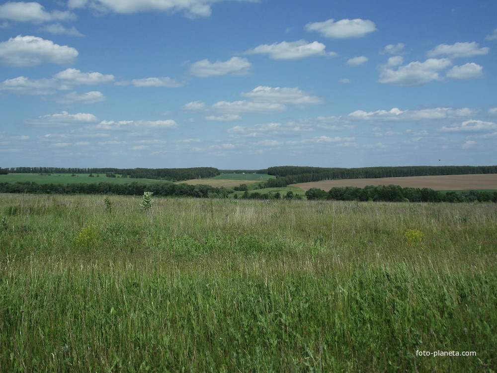 Лукерьино, поле