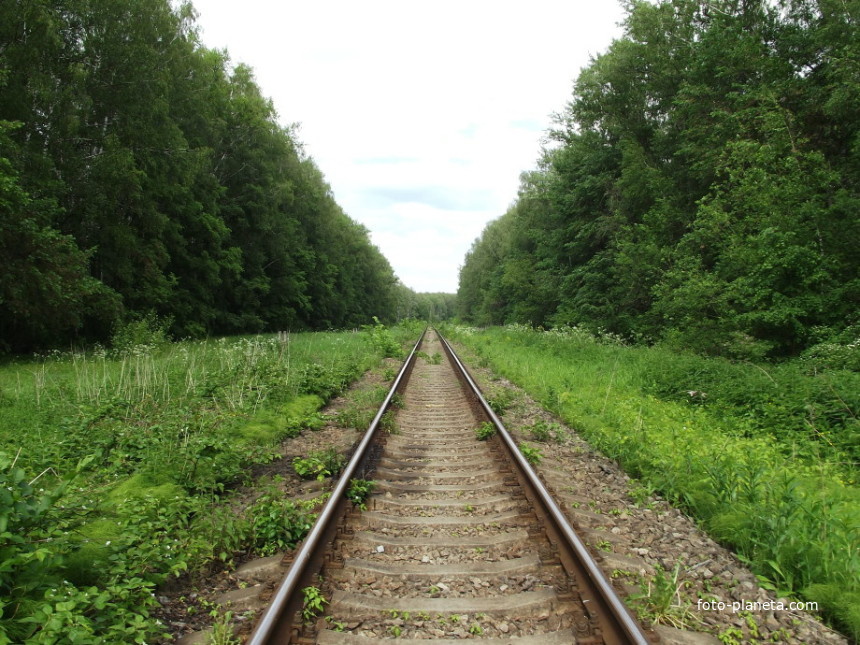 Железнодорожная ветка Голутвин – Озёры