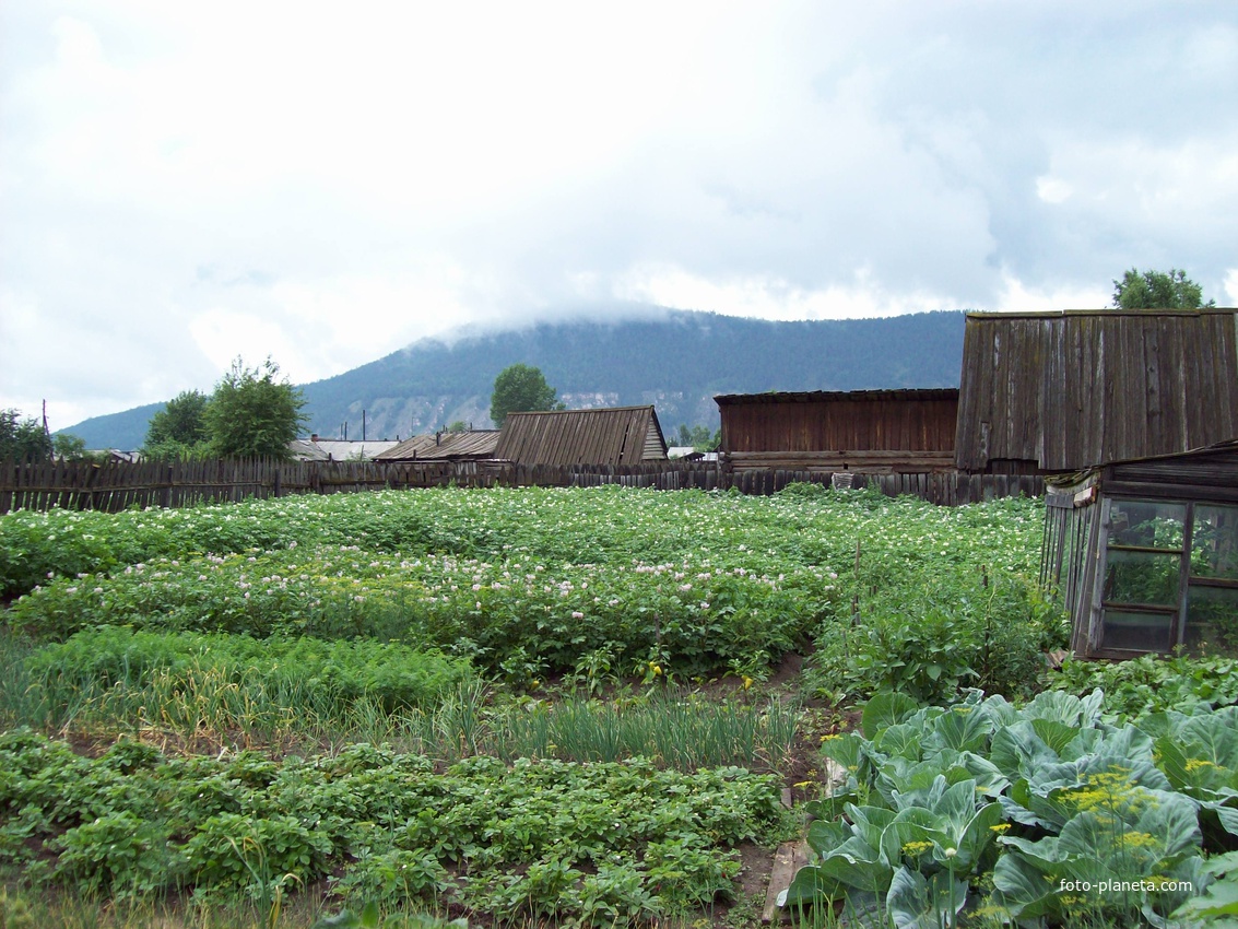 Вид на Манзенскую сопку с огорода, п. Манзя