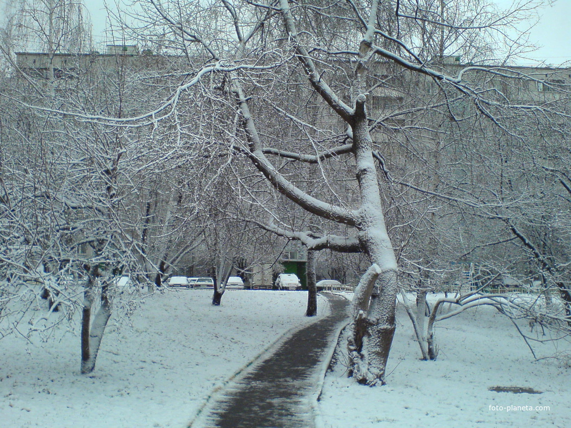 Тропинка к школе (2010)