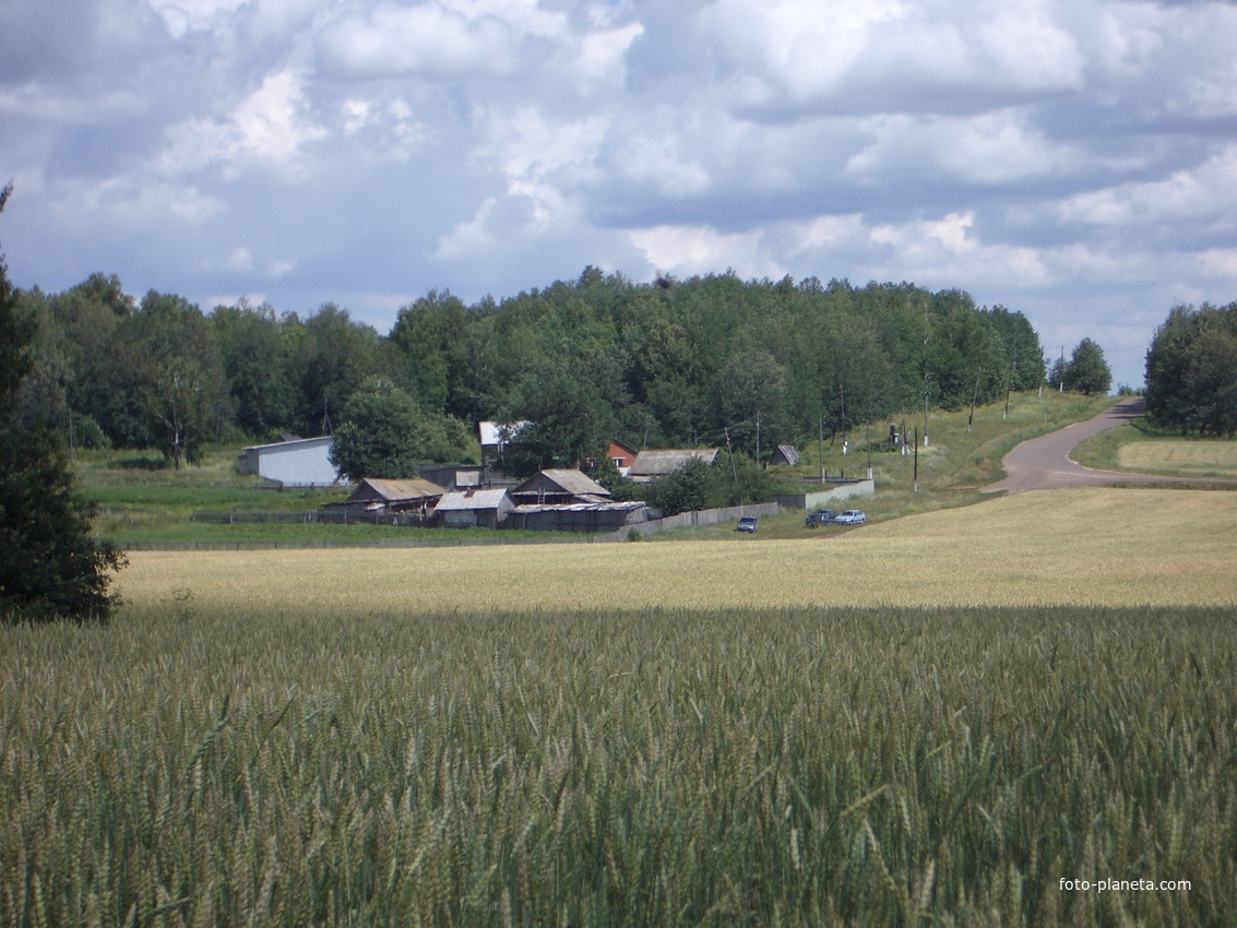 лесничество у деревни