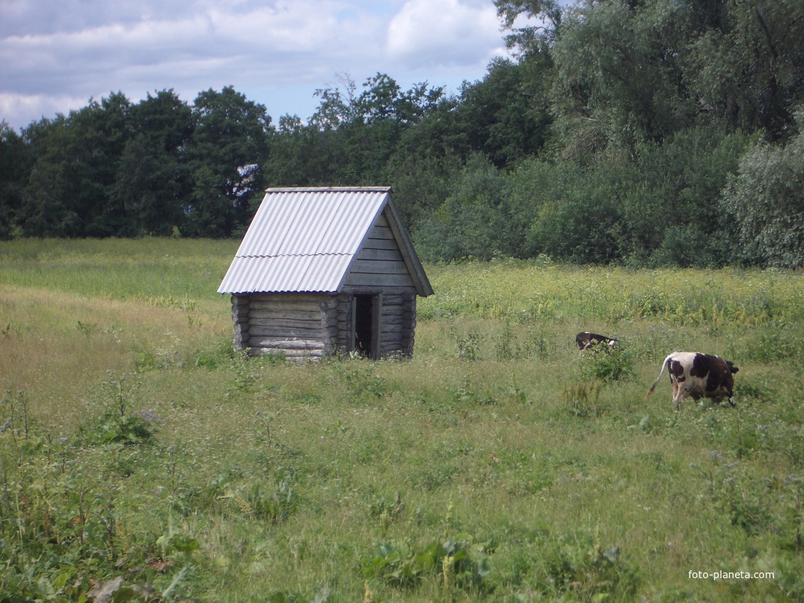 домик родника