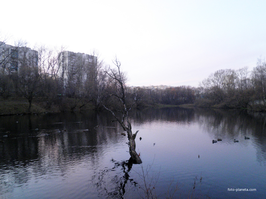 Первый Бирюлевский пруд