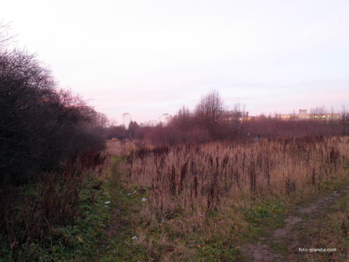 Територрия Загорьевского института до застройки