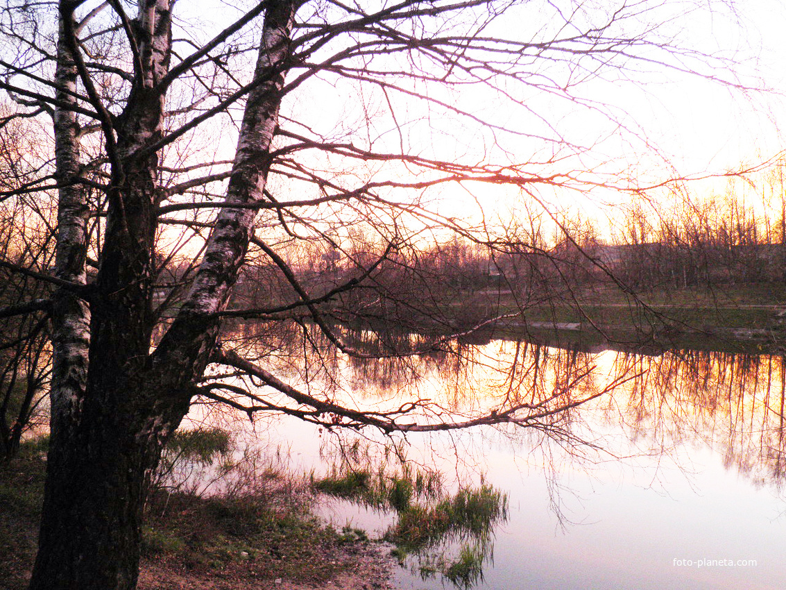 Бирюлевский пруд