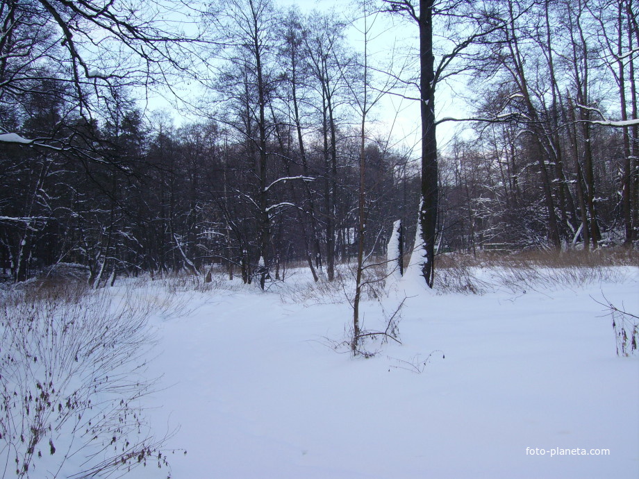 Замёрзшая Хрипань сливалась с окружающим лесом