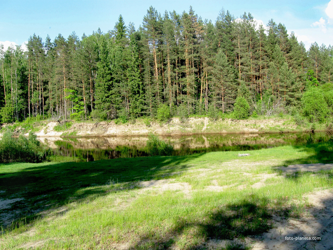 Купить Землю В Борском Районе Нижегородской