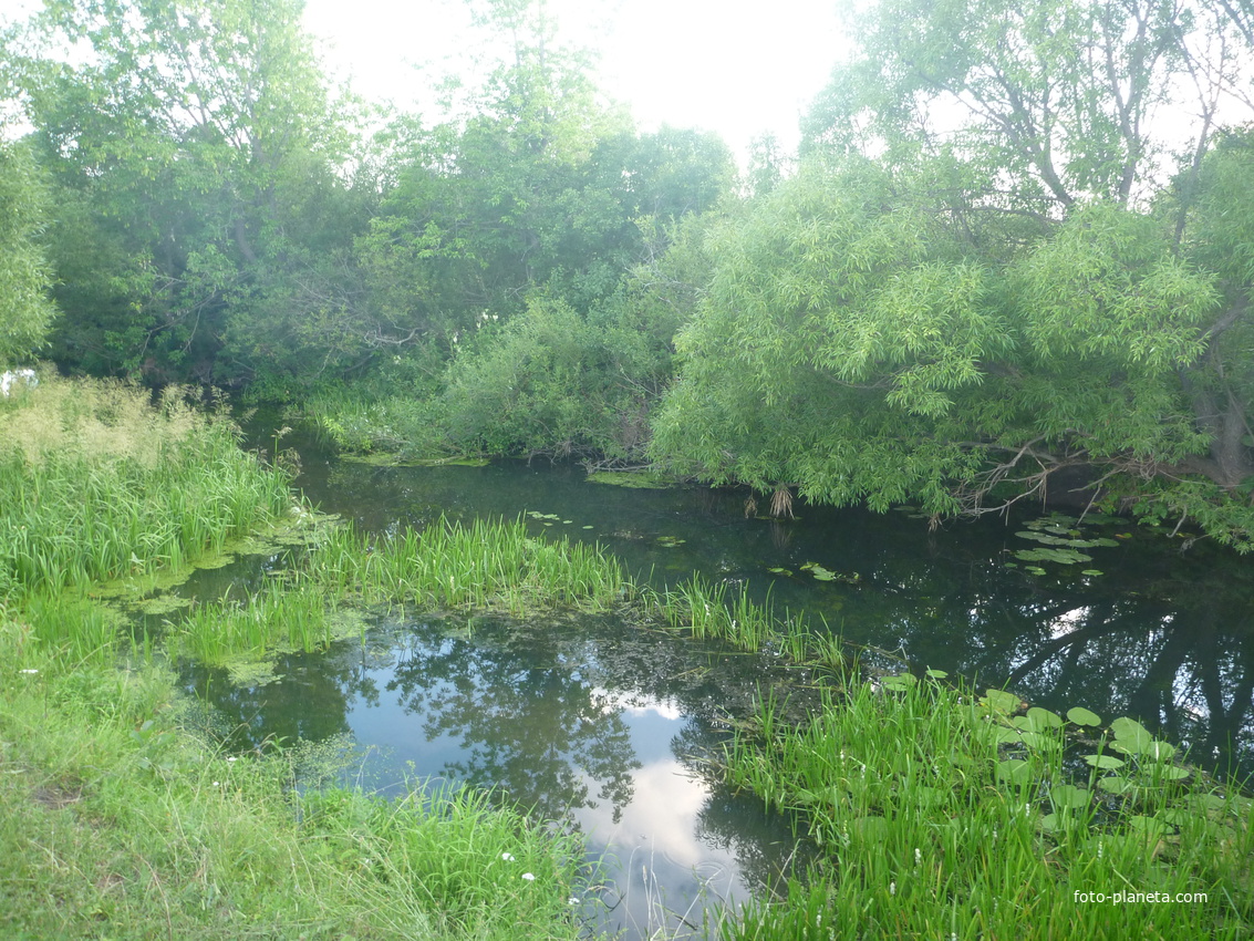 Бурцев огород.Речка.