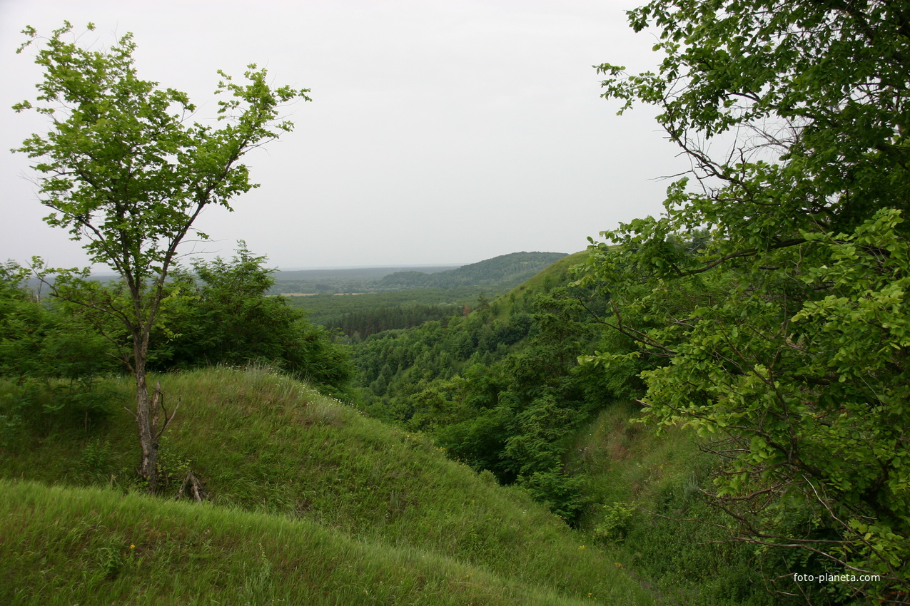 Вид на Западню и гору Лысоха со стороны Межирича