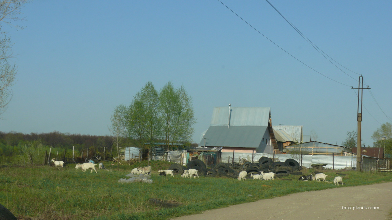 село Волково