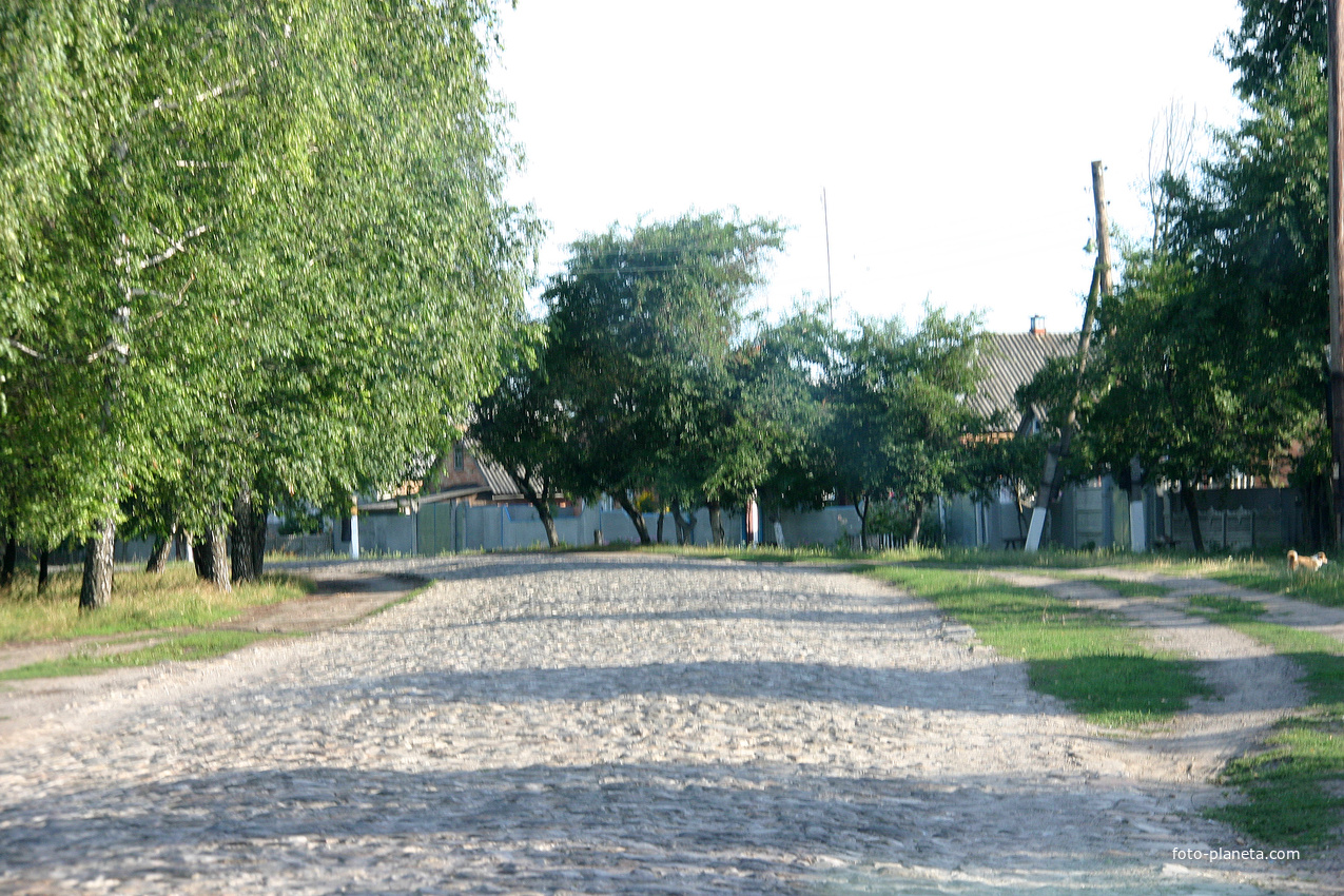 Дорога через Ульяновку