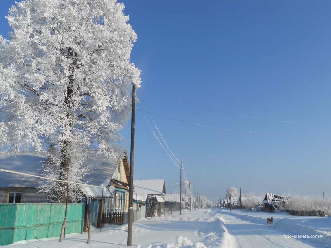 Зима в Торганово