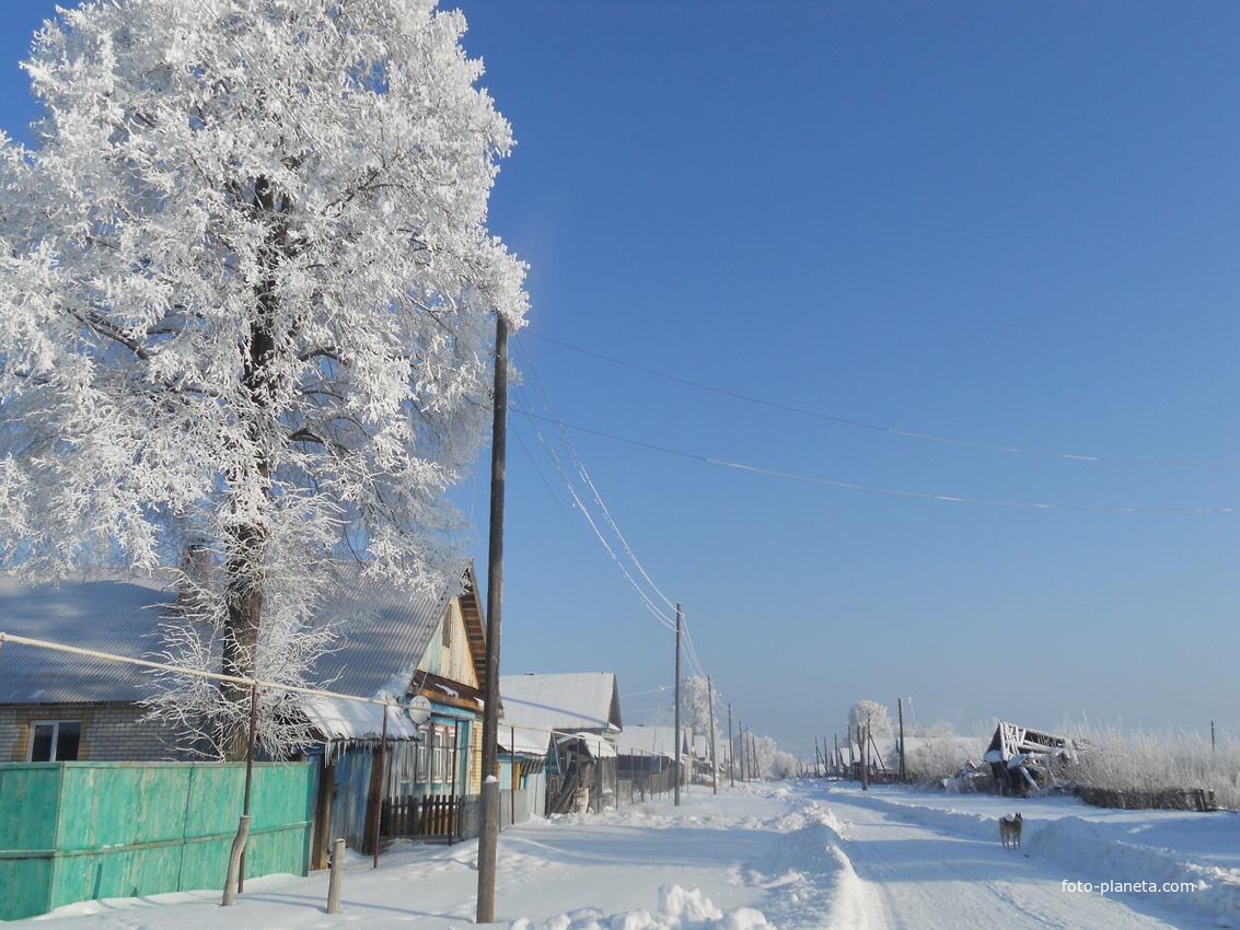 Зима в Торганово