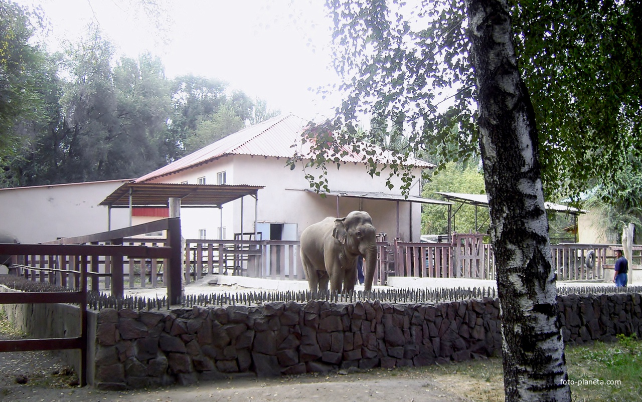 алматинский зоопарк / Almaty Zoo