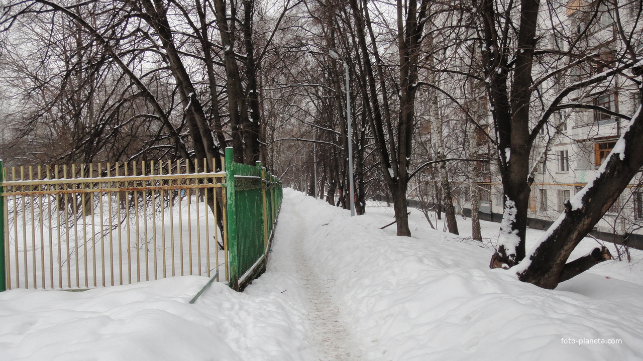 Бирюлево, зимняя тропа