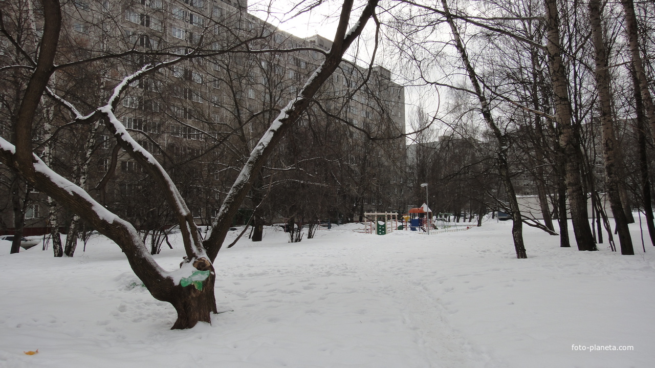 Двор по Липецкой 12