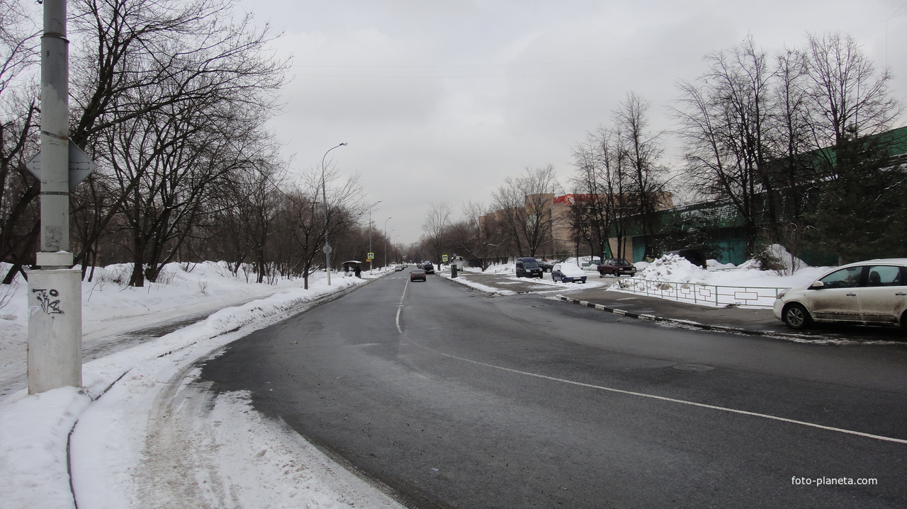 Бирюлево, Ряжская улица