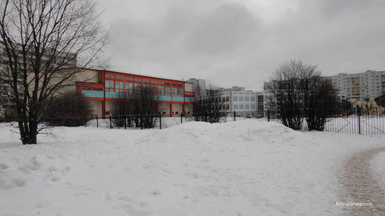 ФОК и Школа № 947