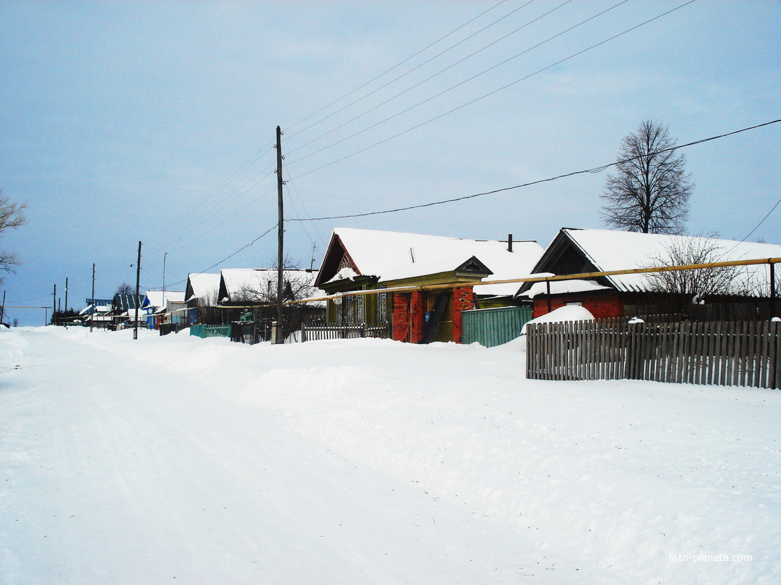 Сеткасы