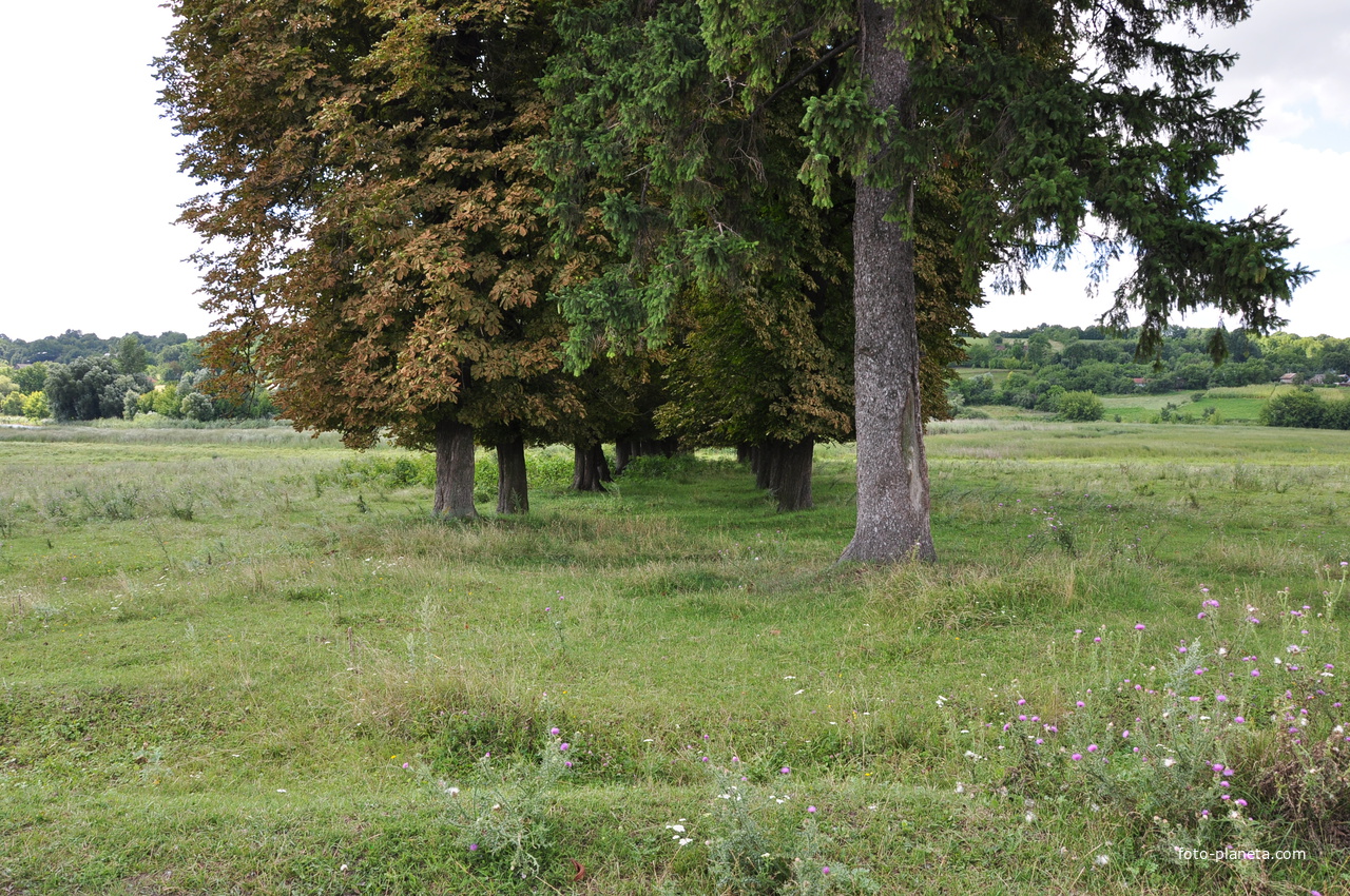 В селе Шарапановка