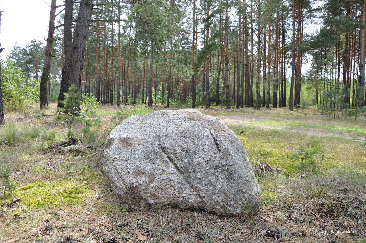 Камень с восьмиконечным крестом в горcком лесу
