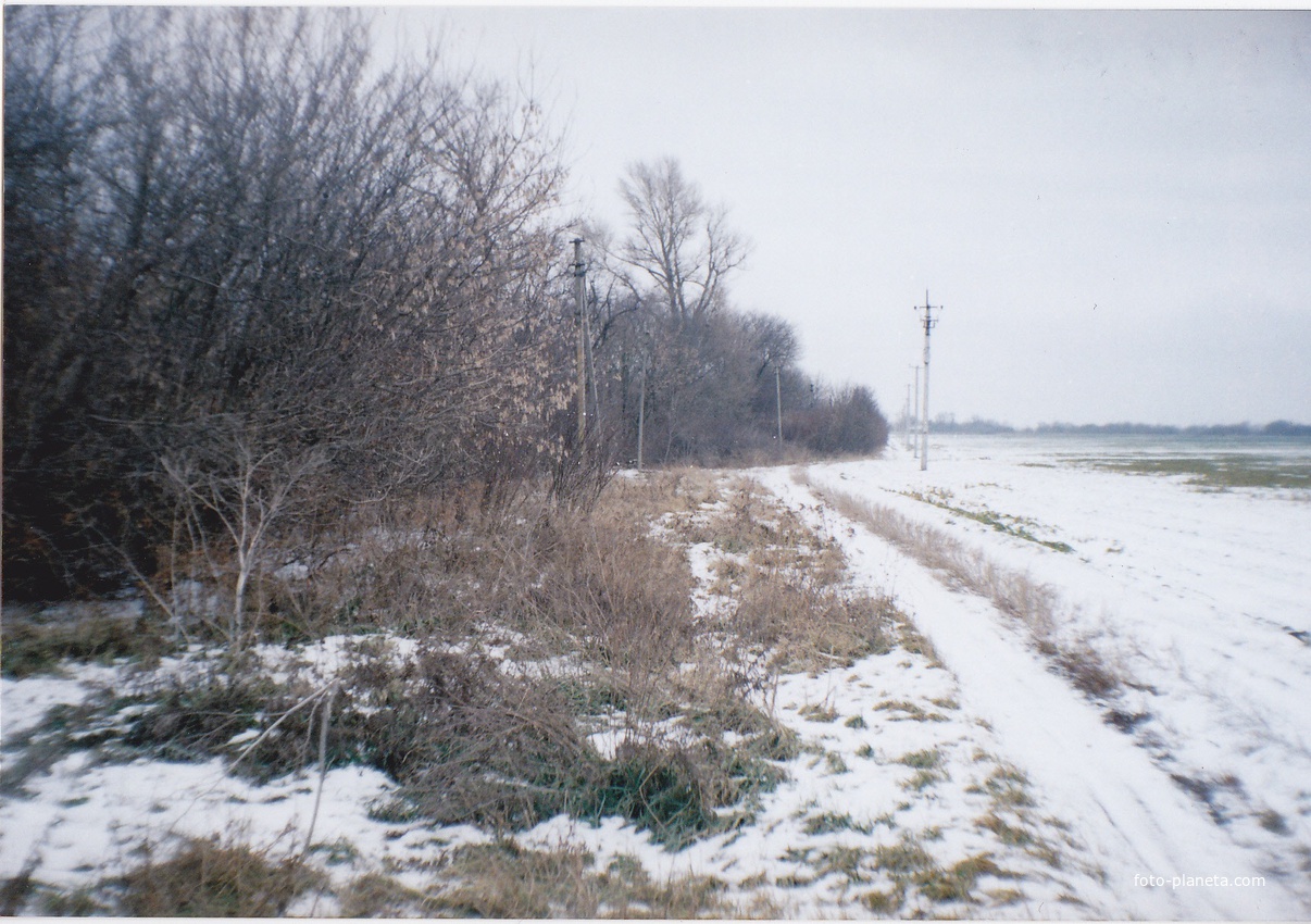 Зимняя дорога по хутору Бубновое