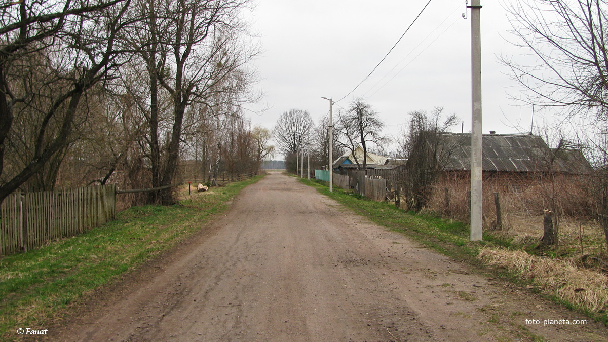 Улица в сторону д. Богутичи