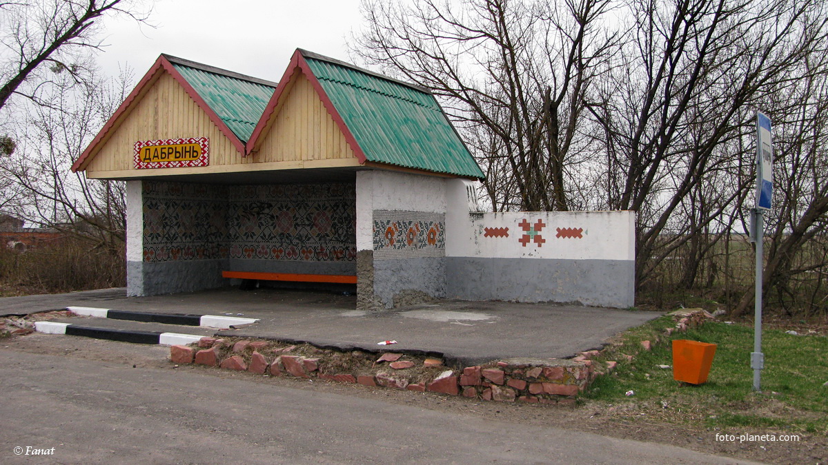 Погода скородное ельский гомельская. Скородное Ельский район. Красный пильщик Ельский район. Добрынь Ельский район. Деревня Добрынь Гомельская область.