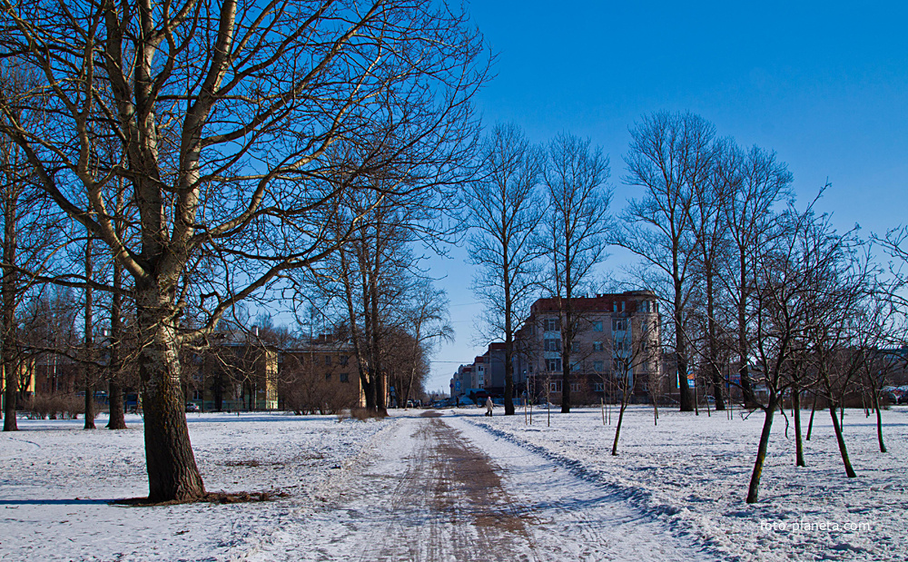 В парке