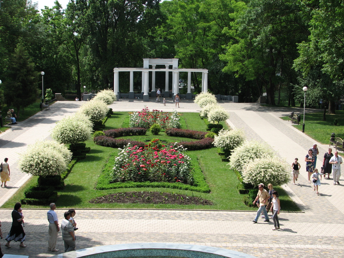 Цветы в парке