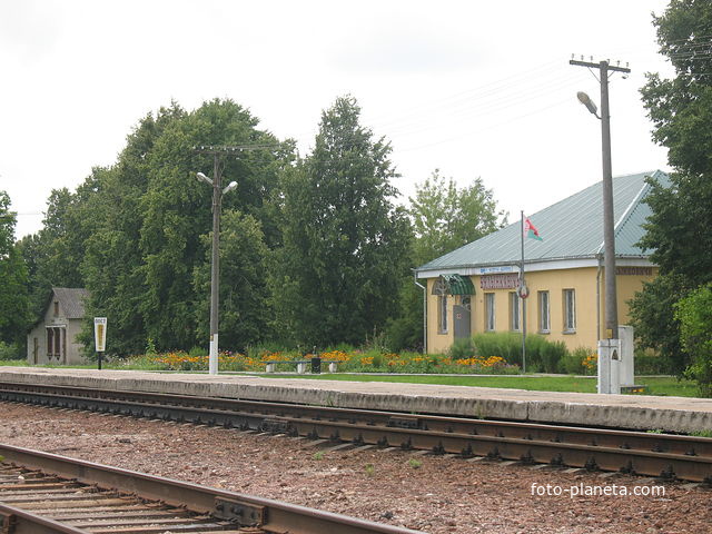 Станция Белынковичи