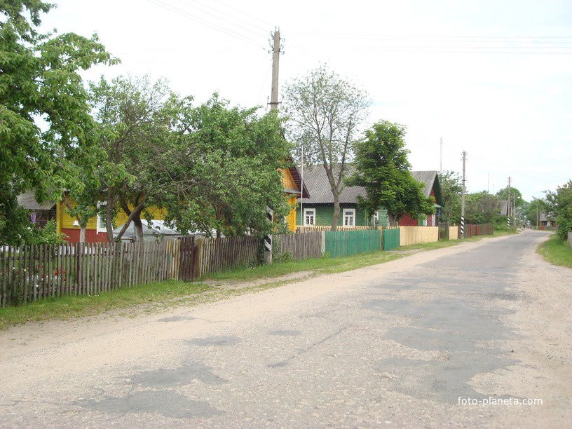 Дома по улице деревни Барово