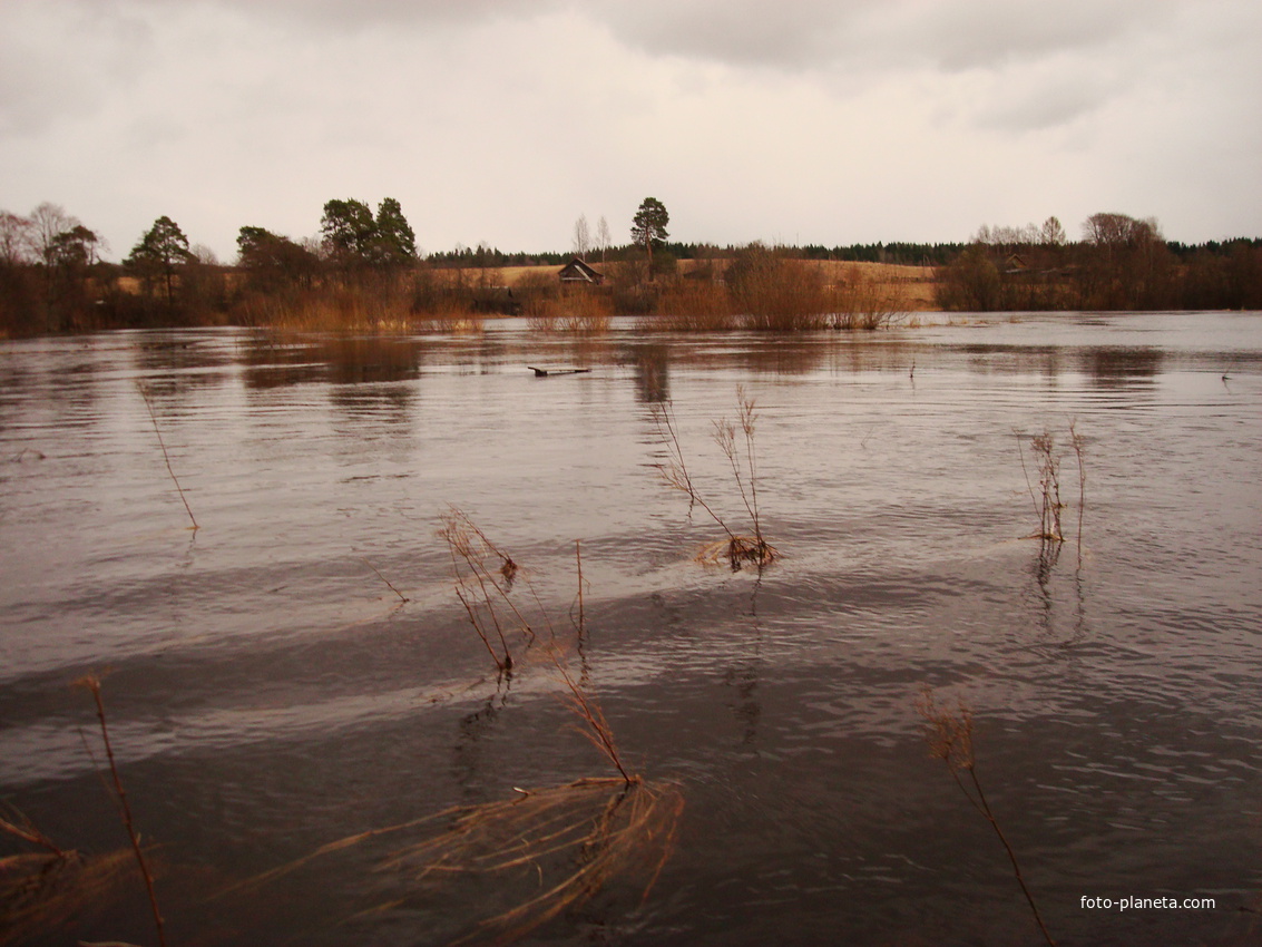 разлив реки Кабожа