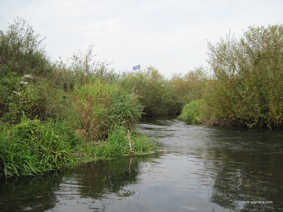 Место впадении реки Селычка в реку Иж