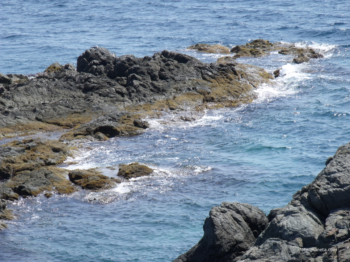 Август 2011. Берег океана в районе Ливадии.