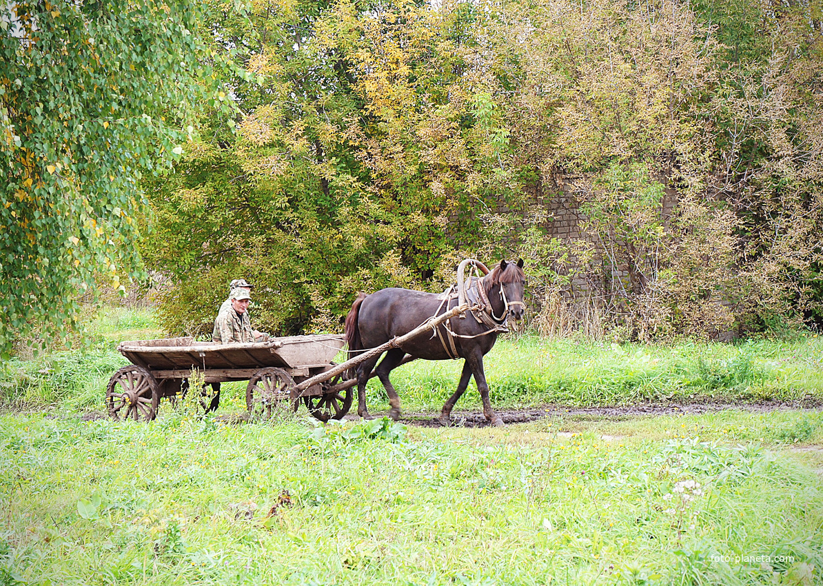 Осенью 2012 года