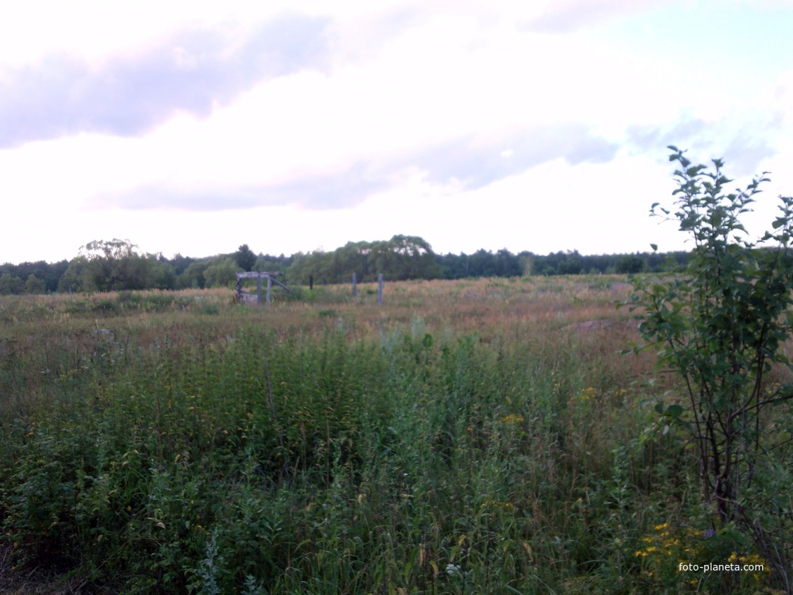 Костобобровка август 2012 - автор снимка с15 Вильям Шлегель