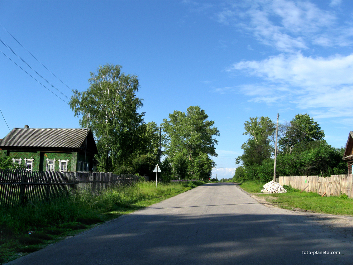 д. Пелегово (ул. Школьная)