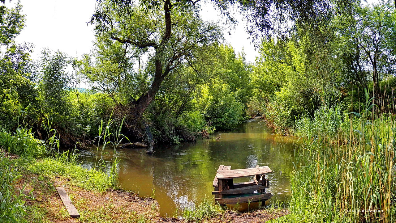 Село крынки херсонская. Речка Крынка Донецкая область. Река нижняя Крынка в Донецкой области. Река Миус Донецкая область. Река Крынка Ростовская область.