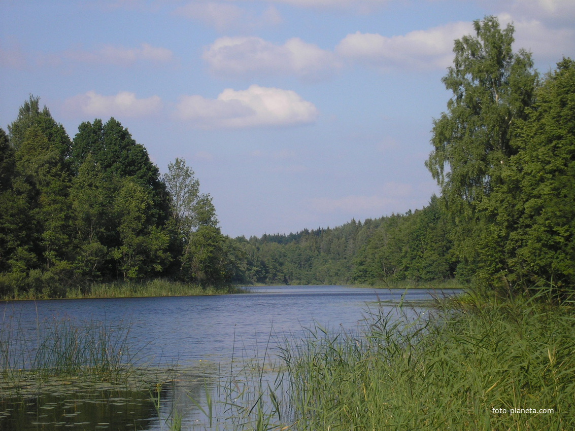 Озеро деревня Заболотье