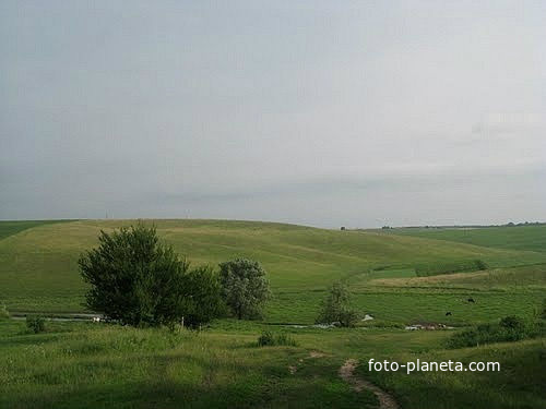 берегельська руда