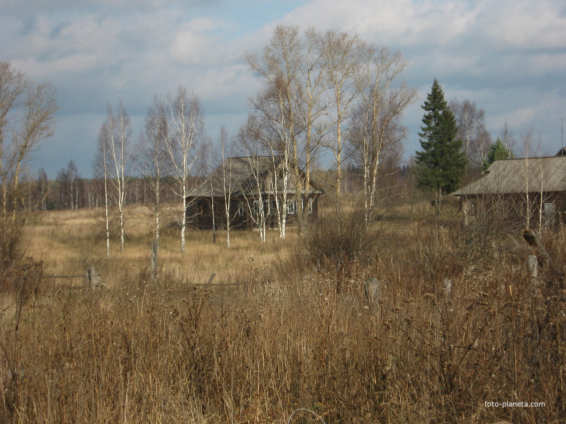 Д белая. Белые пруды Ковернинский район. Деревня белые пруды Нижегородская область. Поселихино Ковернинский район. Деревня белые пруды, Ковернинский район.