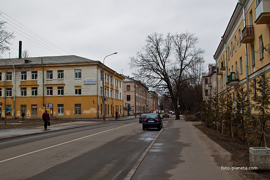 Улица Березовая