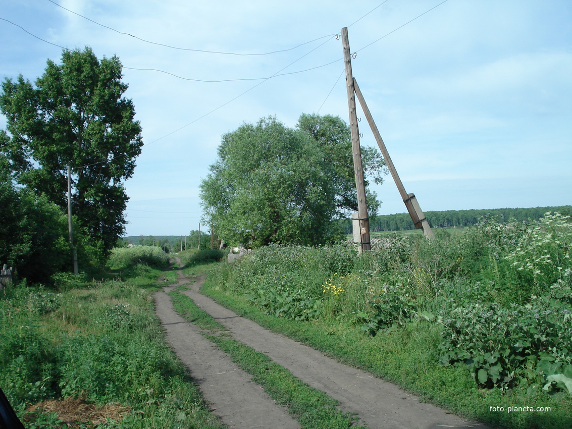 улица Trepel kossy летом