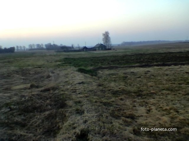 д Перепись .