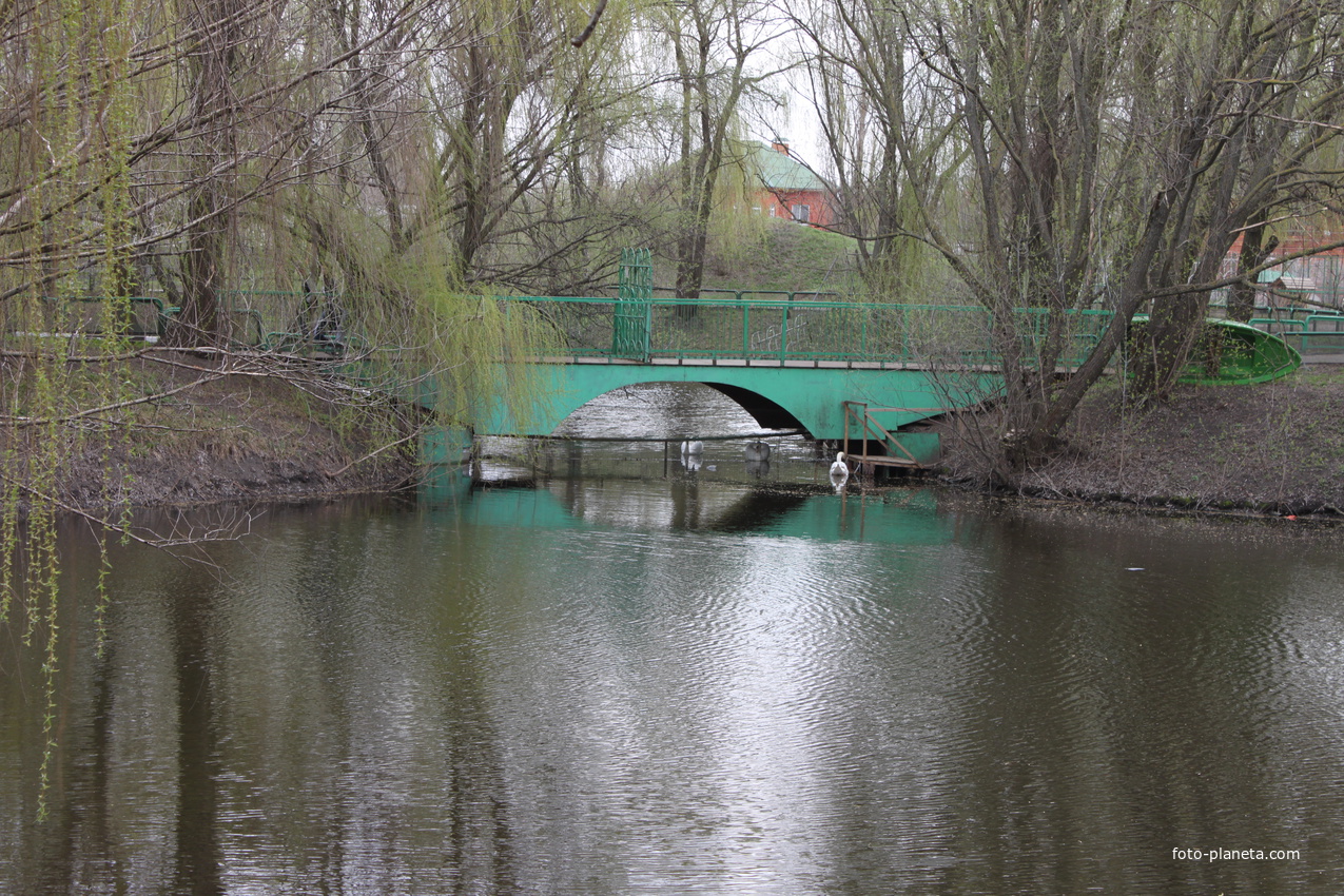 Белгород. Озеро в зоопарке.
